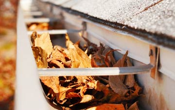 Carterton gutter cleaning companies